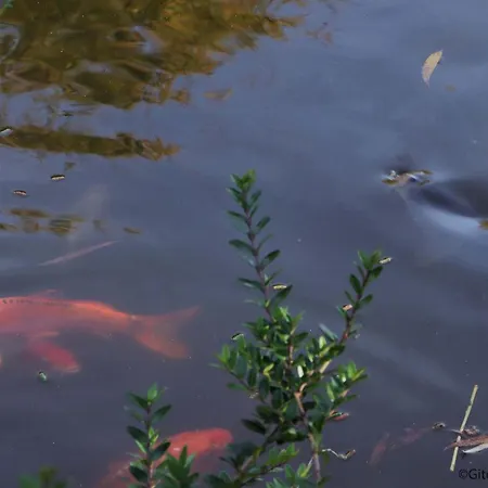 Maison Lumineuse Avec Jardin Clos, Spa, Proche Du Perche - Fr-1-497-168 Σπίτι διακοπών Le Pin-la-Garenne