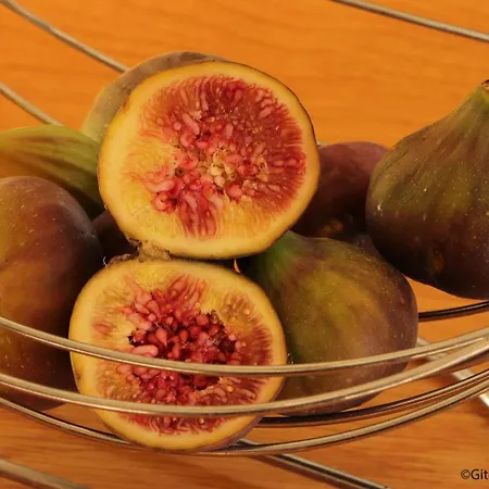 Maison Lumineuse Avec Jardin Clos, Spa, Proche Du Perche - Fr-1-497-168 Σπίτι διακοπών Le Pin-la-Garenne