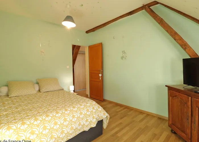 Maison Lumineuse Avec Jardin Clos, Spa, Proche Du Perche - Fr-1-497-168 *